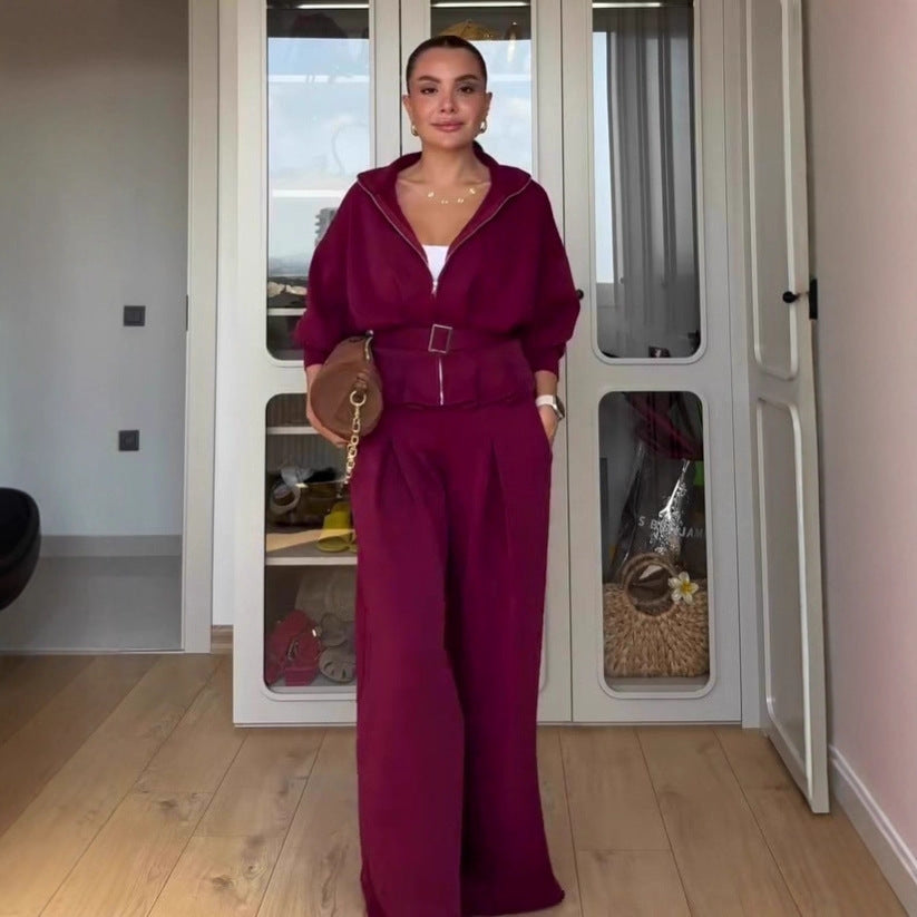 Women's Polo Collar Solid Color Waist Slimming Wide Leg Pants Suit