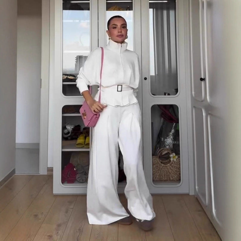 Women's Polo Collar Solid Color Waist Slimming Wide Leg Pants Suit